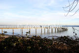 Bootssteg am Jakobshorn bei der Bodensee Therme Konstanz.