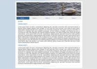 Webdesign - CMS  1-spaltig