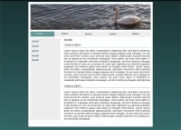 Webdesign - CMS  2-spaltig