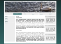 Webdesign - CMS  3-spaltig